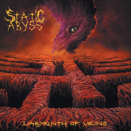Static Abyss : Labyrinth of Veins